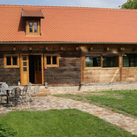Read more about the article Pansion Tišina ***