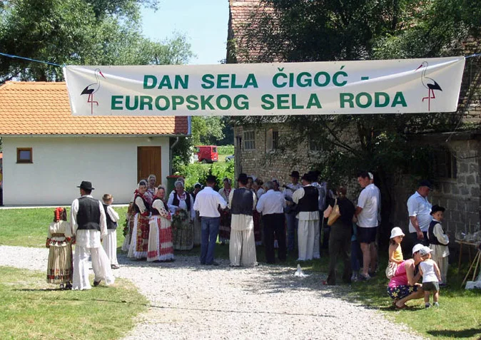 Dan-sela-Cigoca