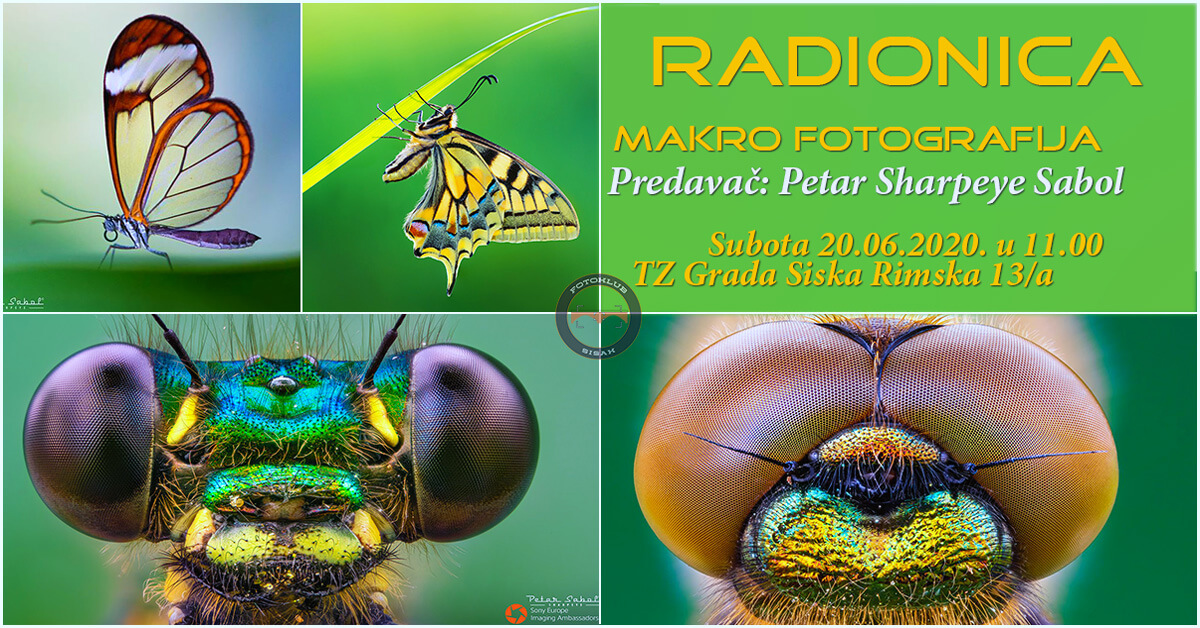 You are currently viewing Radionica Makro fotografija