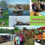 Read more about the article Vikend programi PP Lonjsko polje