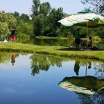 Read more about the article Natjecanje u ribolovu povodom Svetog Mihovila