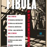 Read more about the article 15. FIBULA