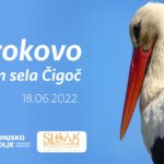 Read more about the article Dan sela Čigoč