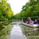 Read more about the article Park prirode Lonjsko polje najavljuje početak turističke sezone