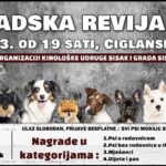 Read more about the article Kinološka Udruga Sisak organizira 2. gradsku reviju pasa