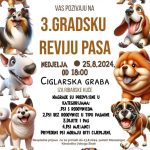 Read more about the article 3. Gradska revija pasa u Sisku