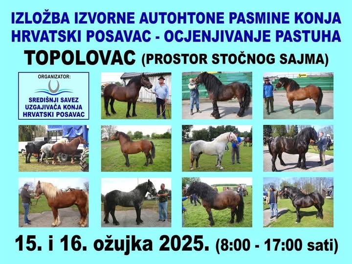 You are currently viewing Izložba izvorne autohtone pasmine konja Hrvatski posavac