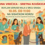 Read more about the article Nalin buvljak stiže na manifestaciju U srcu grada!