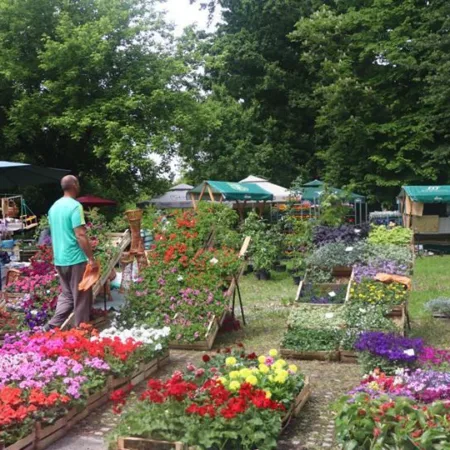 Pročitajte više o članku JAVNI POZIV ZA IZLAGAČE za sudjelovanje na manifestaciji SISAČKI SAJAM CVIJEĆA – „SLAVNA SISAČKA POVIJEST“