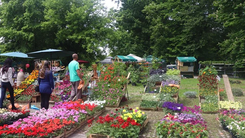 Trenutno pregledavate JAVNI POZIV ZA IZLAGAČE za sudjelovanje na manifestaciji SISAČKI SAJAM CVIJEĆA – „SLAVNA SISAČKA POVIJEST“